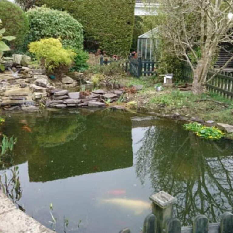 Case Studies JM Aquatic Services